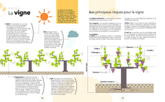 Le grand cours de dégustation
