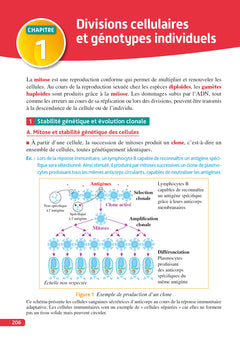 Objectif BAC Ma compil' de spécialités Maths et SVT + Grand Oral + option Maths expertes