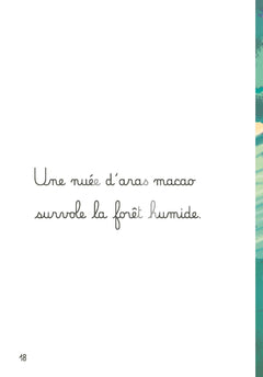 L'Amazonie