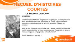 Recueil D'Histoires Courtes