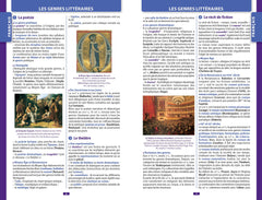 Dictionnaire Larousse du collège bimédia
