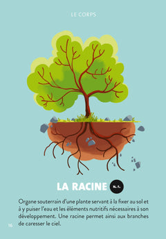 Méditer avec Petit Bambou