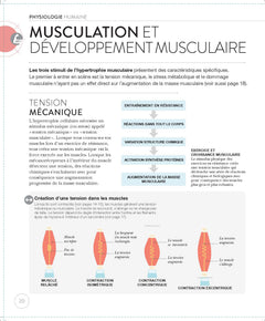 La science de la musculation