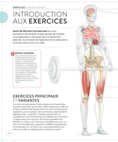 La science de la musculation