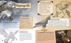 Secrets d'HISTOIRE junior - Si les créatures fantastiques m'étaient contées