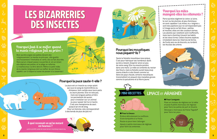 Mon cahier d'activités spécial animaux