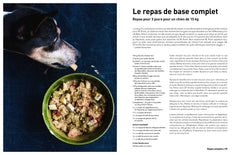 Mon chien est végétarien et il va très bien !