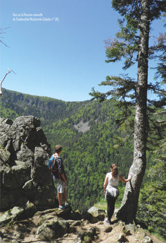 Haut-Rhin Alsace du Sud