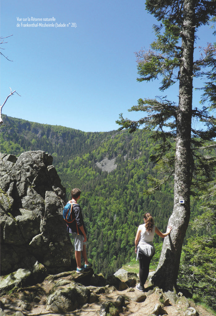 Haut-Rhin Alsace du Sud