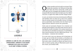 Mon petit oracle des lunes