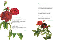 Le Jardin en cent poèmes
