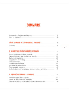 Adultes atypiques - le cahier pratique
