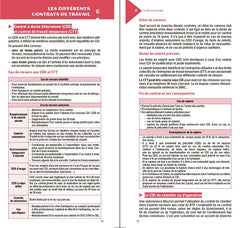 Le petit social 2022