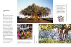 L'Atlas des arbres - Un incroyable tour du monde végétal