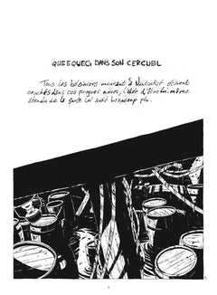 Moby Dick - Livre second