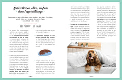 Elever son chien avec l'éducation positive et complice