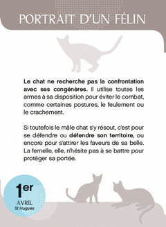 Calendrier Amours de chats en 365 jours - L'Année à bloc