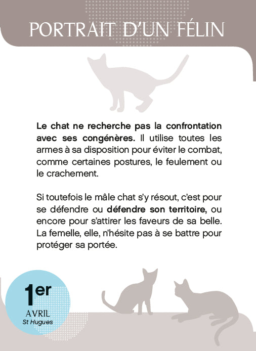 Calendrier Amours de chats en 365 jours - L'Année à bloc