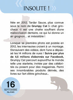 Calendrier Amours de chats en 365 jours - L'Année à bloc