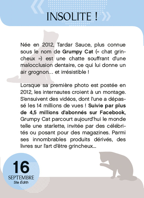 Calendrier Amours de chats en 365 jours - L'Année à bloc