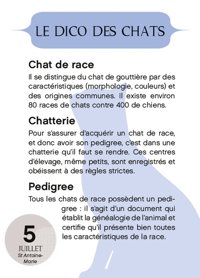 Calendrier Amours de chats en 365 jours - L'Année à bloc
