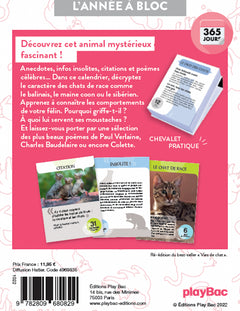 Calendrier Amours de chats en 365 jours - L'Année à bloc