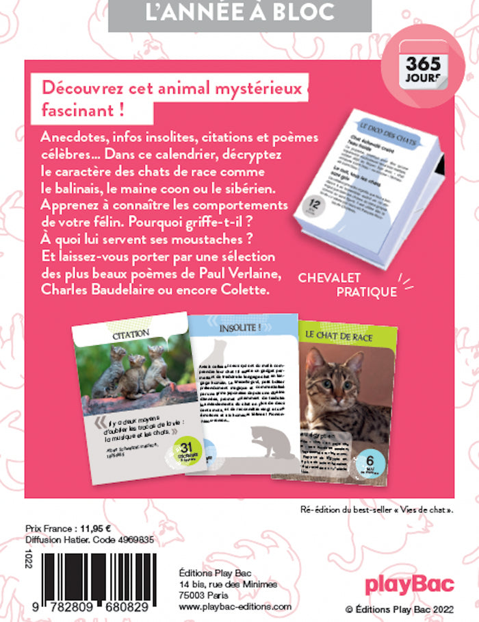 Calendrier Amours de chats en 365 jours - L'Année à bloc