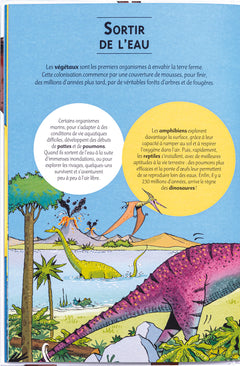 Tous des humains de la même famille !