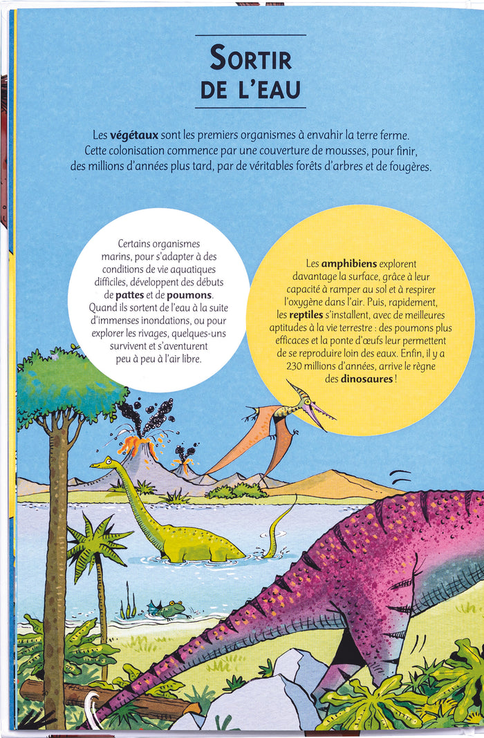 Tous des humains de la même famille !