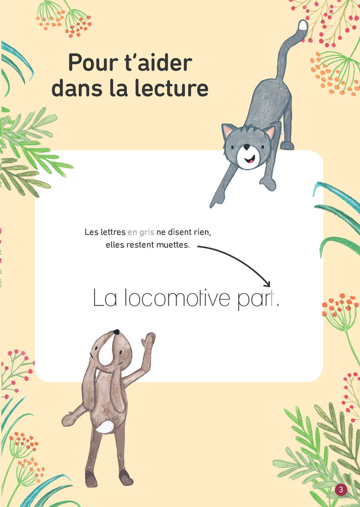 La promenade ! Niveau 1