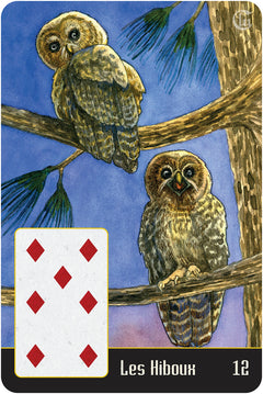 Coffret Santa Muerte Lenormand