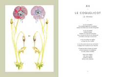 Le tarot des plantes sauvages