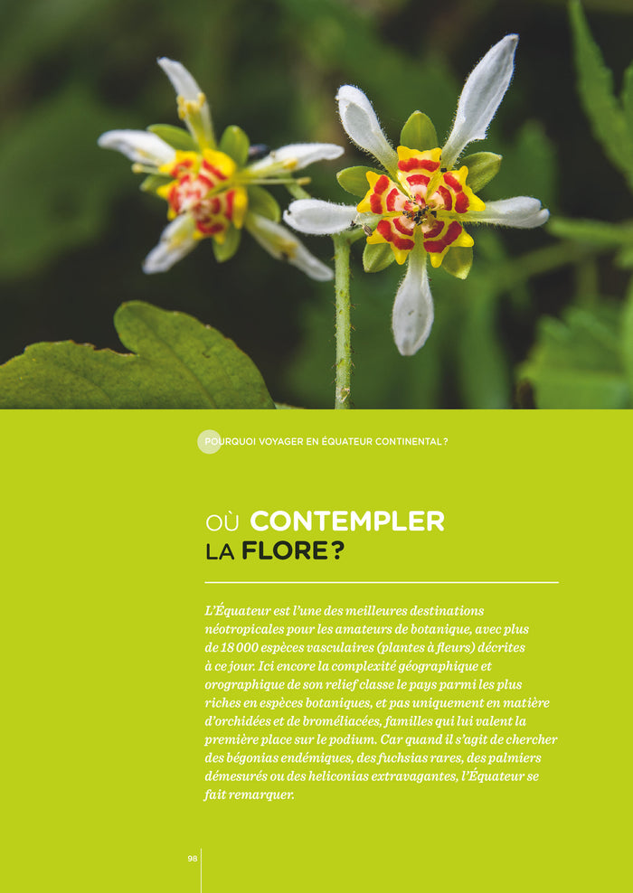 Équateur - Les Clés pour bien voyager