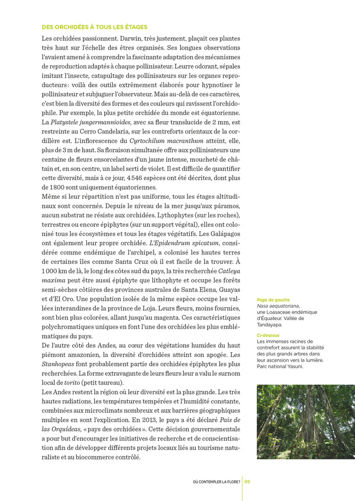 Équateur - Les Clés pour bien voyager