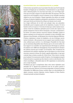 Équateur - Les Clés pour bien voyager