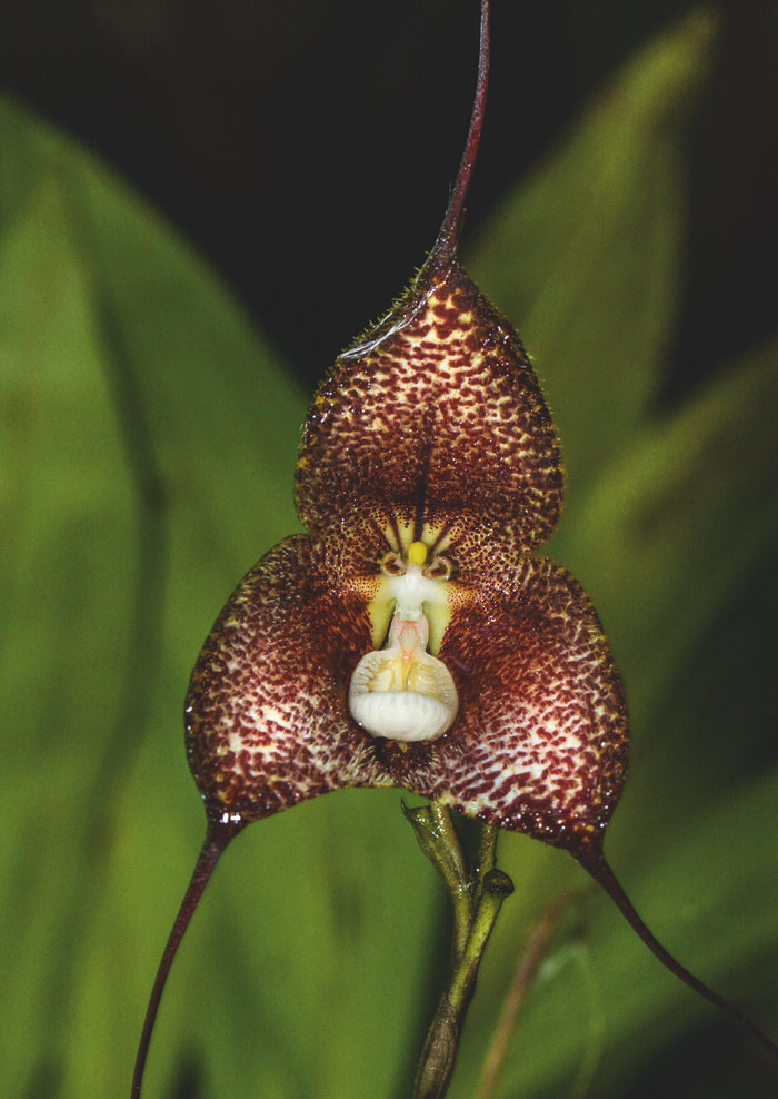 Équateur - Les Clés pour bien voyager