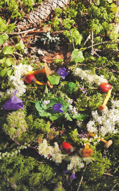 Cueillette gourmande autour du Mont-Blanc