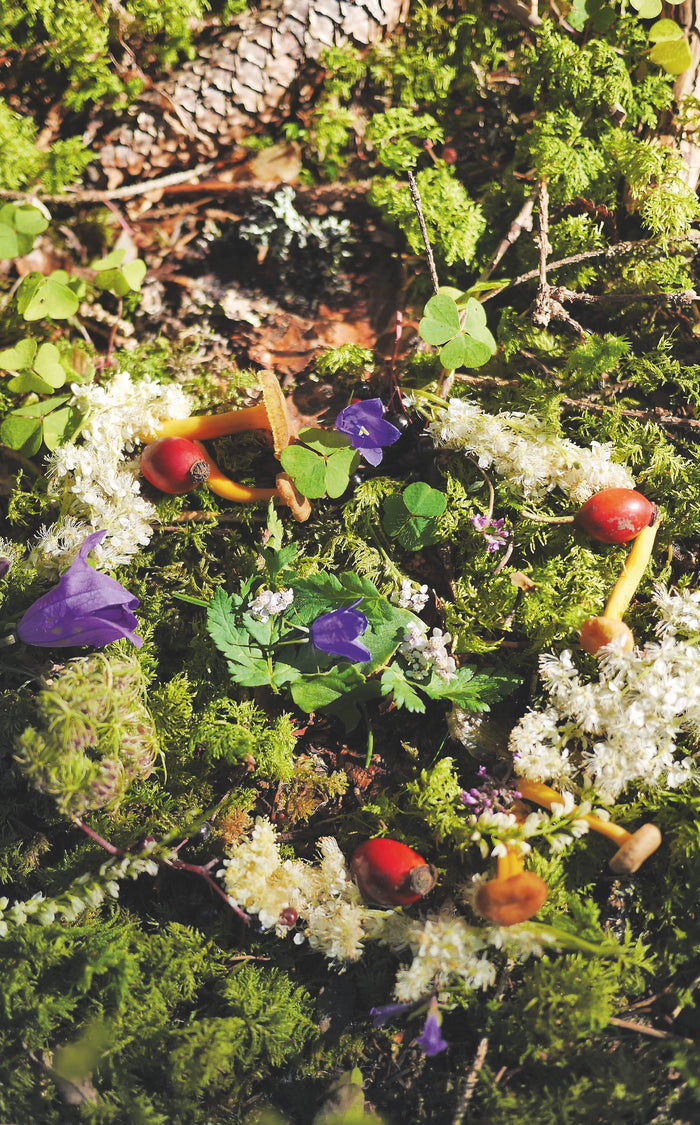 Cueillette gourmande autour du Mont-Blanc