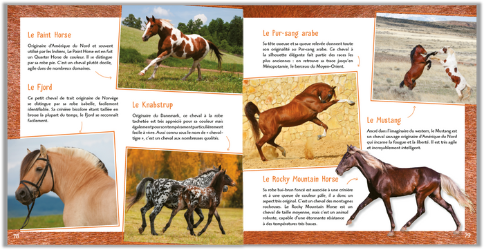Au galop