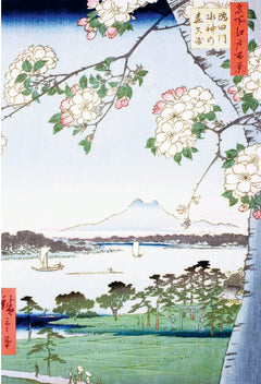Les cerisiers en fleur par les grands maîtres de l'estampe japonaise (coffret)
