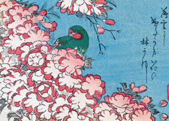 Les cerisiers en fleur par les grands maîtres de l'estampe japonaise (coffret)