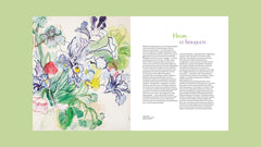 Raoul Dufy, l'ivresse de la couleur (catalogue officiel d'exposition)