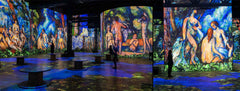 Cezanne, Lumières de Provence