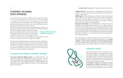 Runes pour débutants