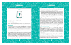 Runes pour débutants