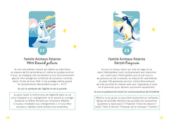 Mon premier oracle magique Animaux Totem
