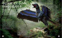 Secrets d'histoire junior - Si le temps des dinosaures m'était conté