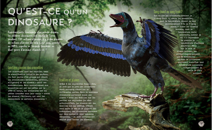 Secrets d'histoire junior - Si le temps des dinosaures m'était conté