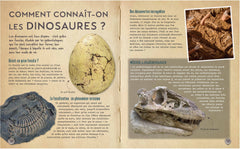 Secrets d'histoire junior - Si le temps des dinosaures m'était conté