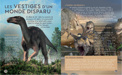 Secrets d'histoire junior - Si le temps des dinosaures m'était conté